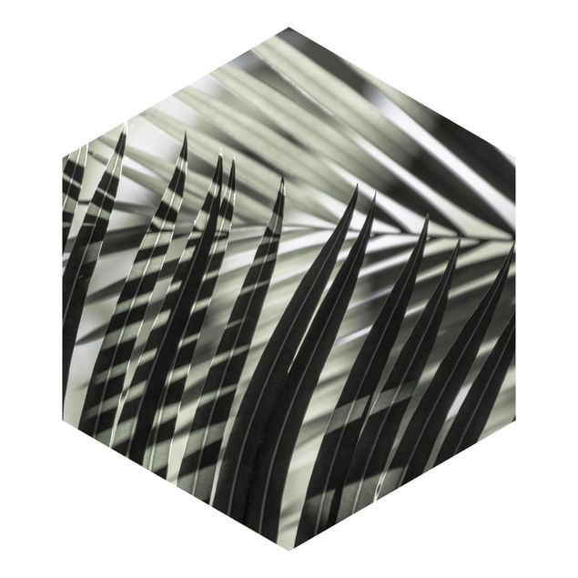 Hexagon Mustertapete selbstklebend - Schattenspiel auf Palmenwedel