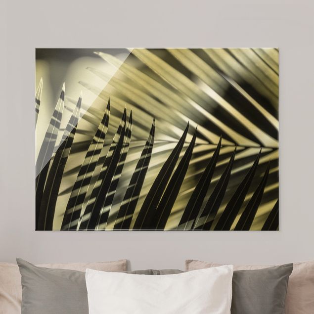Glasbilder Pflanzen Schattenspiel auf Palmenwedel