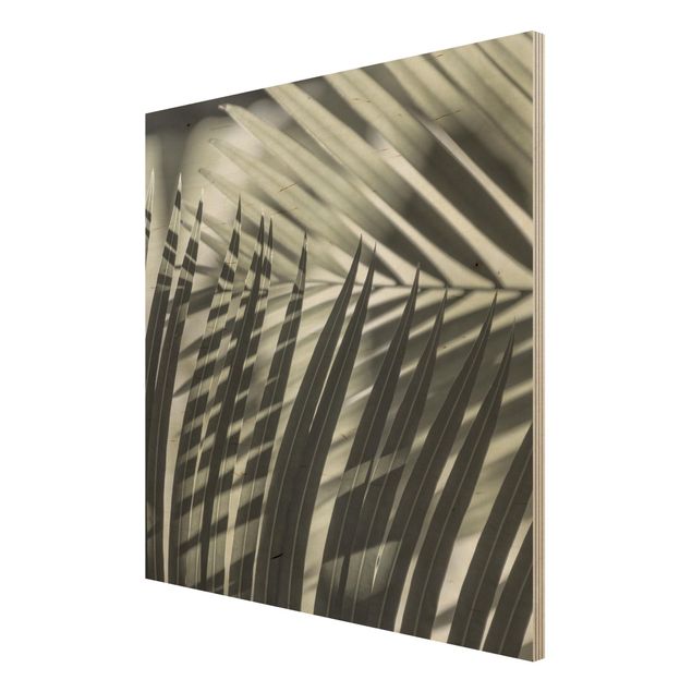 Holzbilder modern Schattenspiel auf Palmenwedel