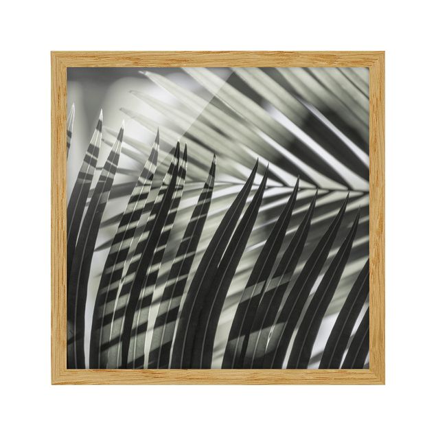Wandbilder mit Rahmen Schattenspiel auf Palmenwedel