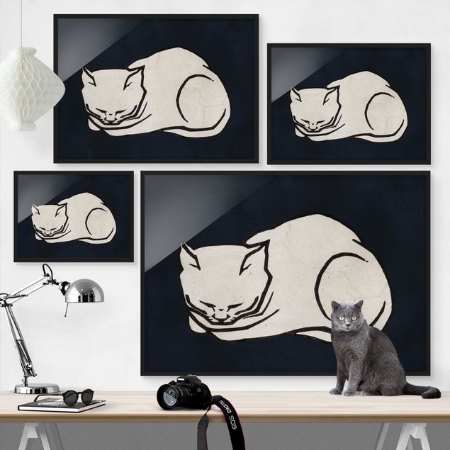 Bilder mit Rahmen Schlafende Katze Illustration