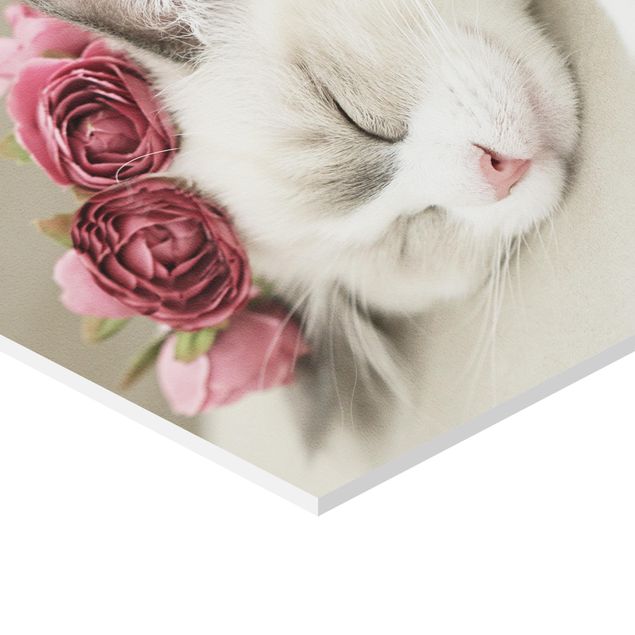 Hexagon Bild Forex - Schlafende Katze mit Rosen