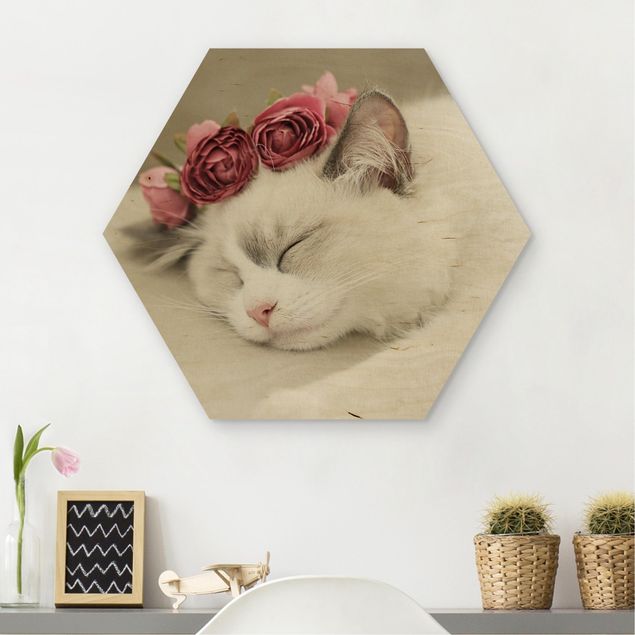 Hexagon Bild Holz - Schlafende Katze mit Rosen