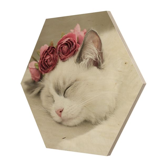 Hexagon Bild Holz - Schlafende Katze mit Rosen