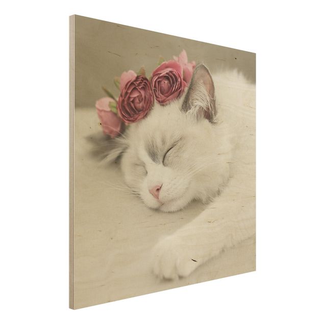 Holzbilder mit Blumen Schlafende Katze mit Rosen