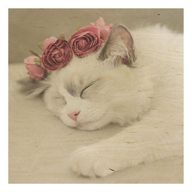 Moderne Holzbilder Schlafende Katze mit Rosen