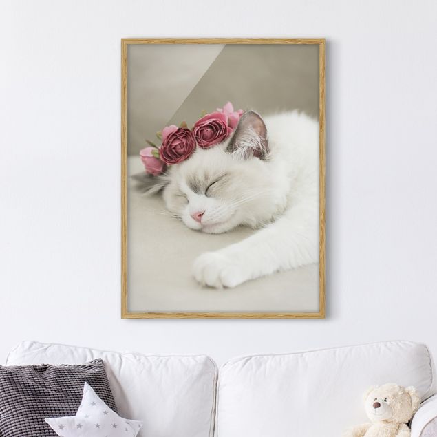 Wandbilder Tiere Schlafende Katze mit Rosen
