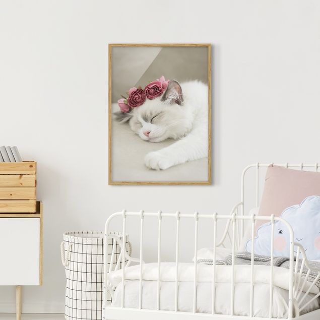 Bilder mit Rahmen Schlafende Katze mit Rosen