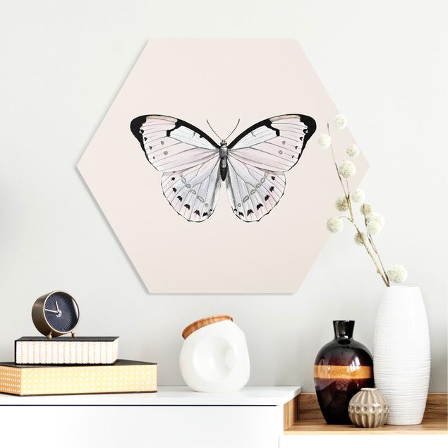 Wandbilder Tiere Schmetterling auf Beige