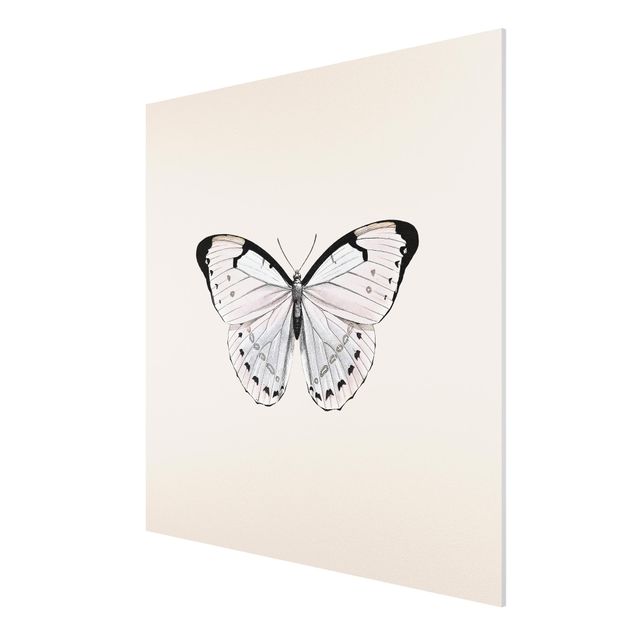 Schöne Wandbilder Schmetterling auf Beige