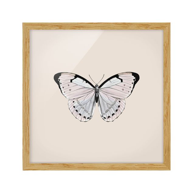 Bild mit Rahmen - Schmetterling auf Beige - Quadrat