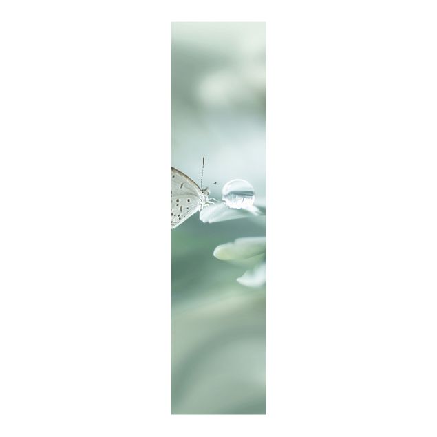 Schiebegardinen mit Motiv 3-teilig Schmetterling und Tautropfen in Pastellgrün