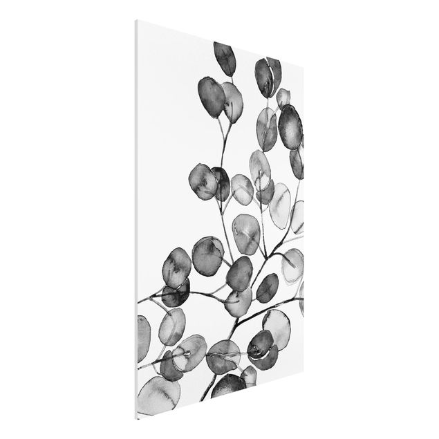 Bilder auf Hartschaumplatte Schwarz Weiß Aquarell Eukalyptuszweig