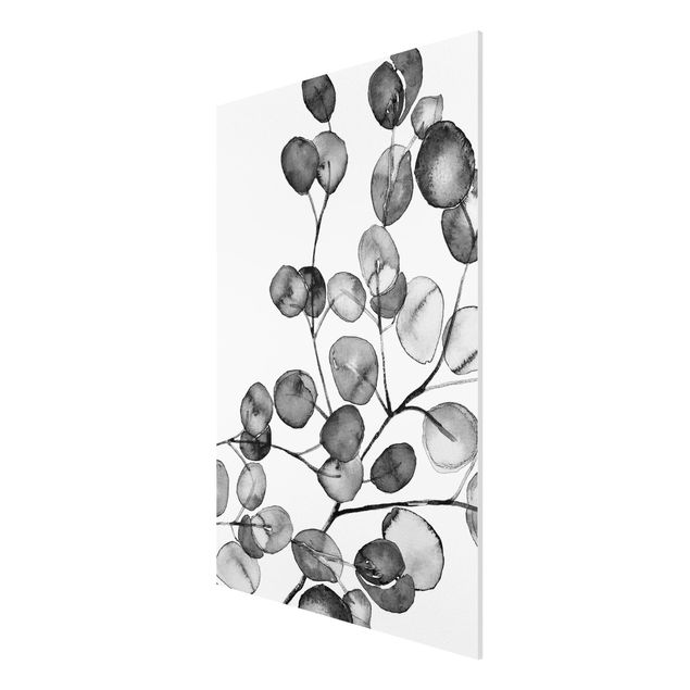 Forex Fine Art Print - Schwarz Weiß Aquarell Eukalyptuszweig - Hochformat 2:3
