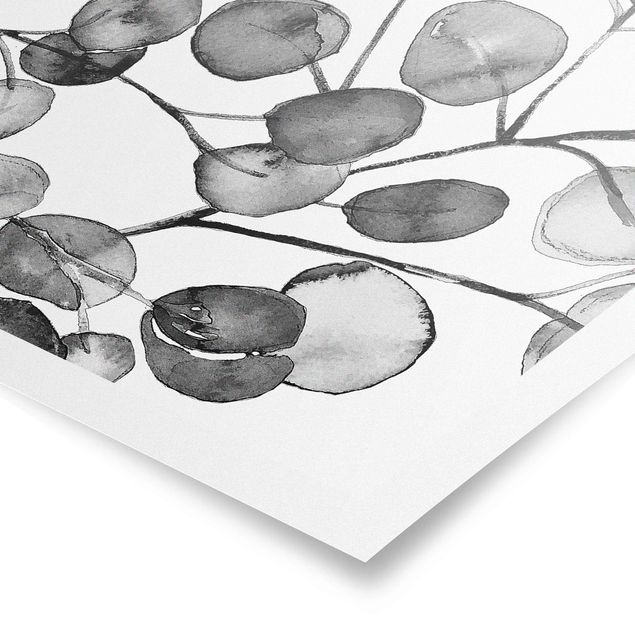 Poster Schwarz Weiß Aquarell Eukalyptuszweig