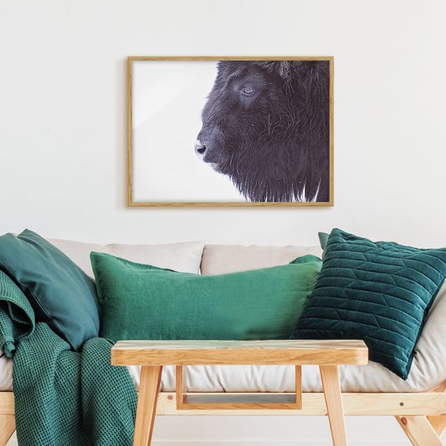 Wandbilder Schwarzer Büffel im Portrait