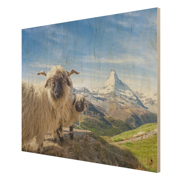 Holzbild - Schwarznasenschafe von Zermatt - Querformat
