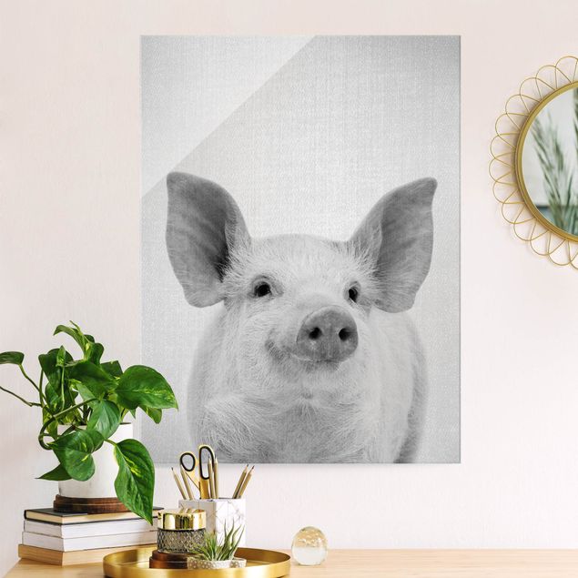 Wandbilder Tiere Schwein Schorsch Schwarz Weiß