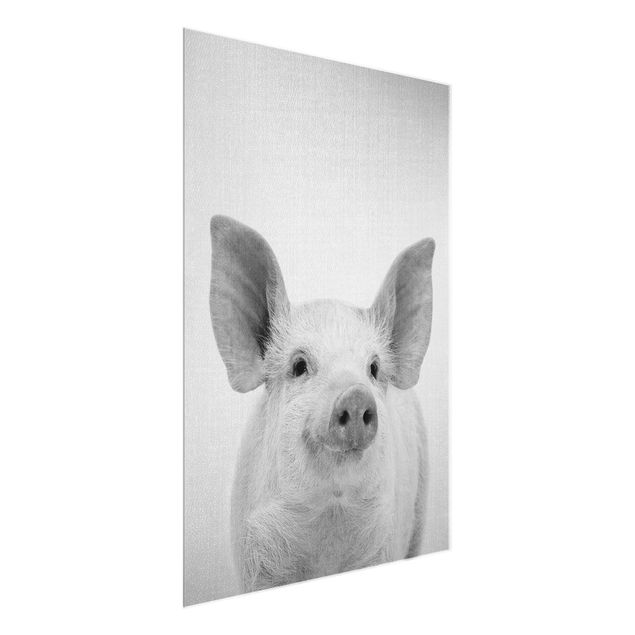Glasbild Tiere Schwein Schorsch Schwarz Weiß