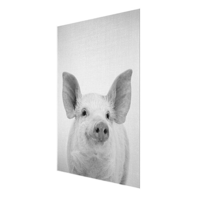 Bilder auf Glas Schwein Schorsch Schwarz Weiß