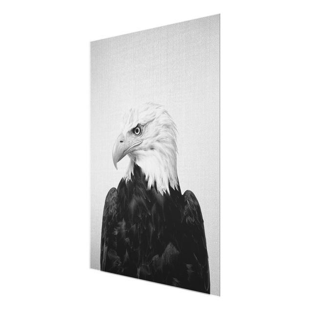 Schöne Wandbilder Seeadler Sokrates Schwarz Weiß