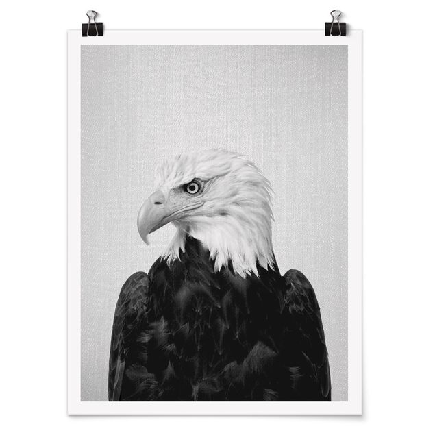 Poster Tiere Seeadler Sokrates Schwarz Weiß
