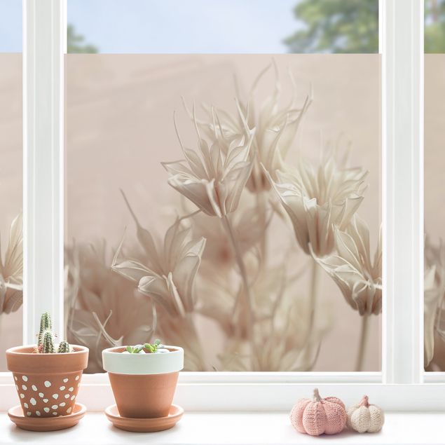 Fensterfolie Gräser Sepia Trockenblumen