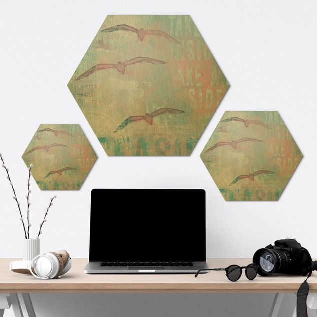 Hexagon-Alu-Dibond Bild - Shabby Chic Collage - Möwen