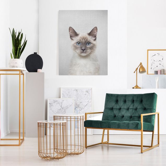Wandbilder Katzen Siamkatze Sibylle