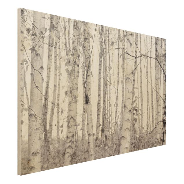 Holzbilder Landschaften Silberbirke im weißen Licht