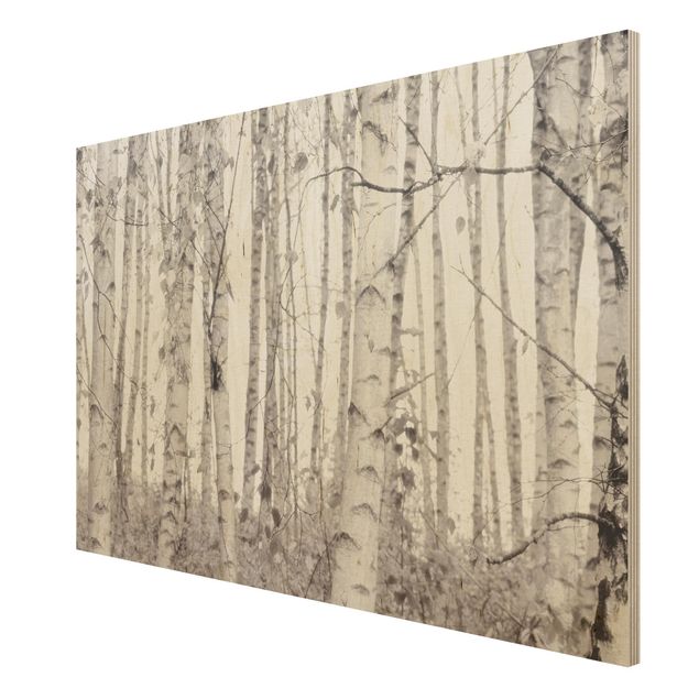 Wandbild Holz Silberbirke im weißen Licht