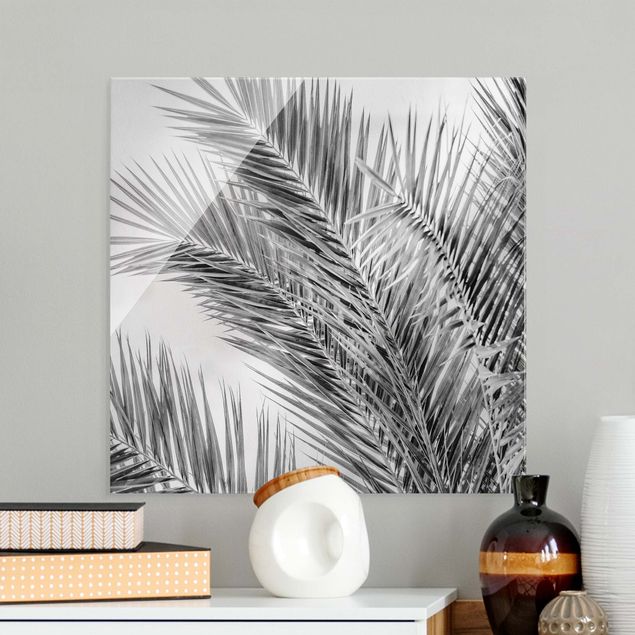 Glasbilder Pflanzen Silberne Palmenwedel