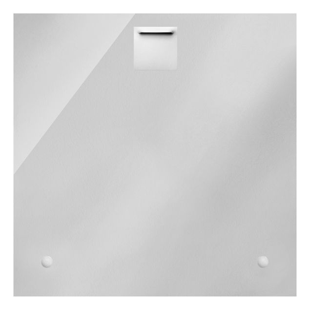 Glasbild - Silberne Palmenwedel - Quadrat 1:1
