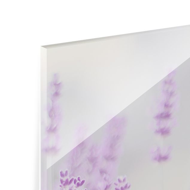 Glasbild - Sommer im Lavendelfeld - Quadrat 1:1