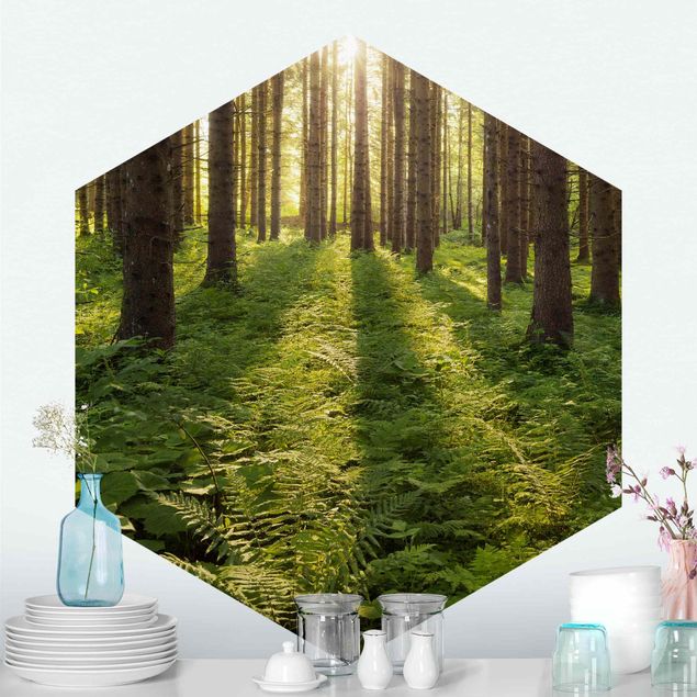 Fototapete Landschaft Sonnenstrahlen in grünem Wald