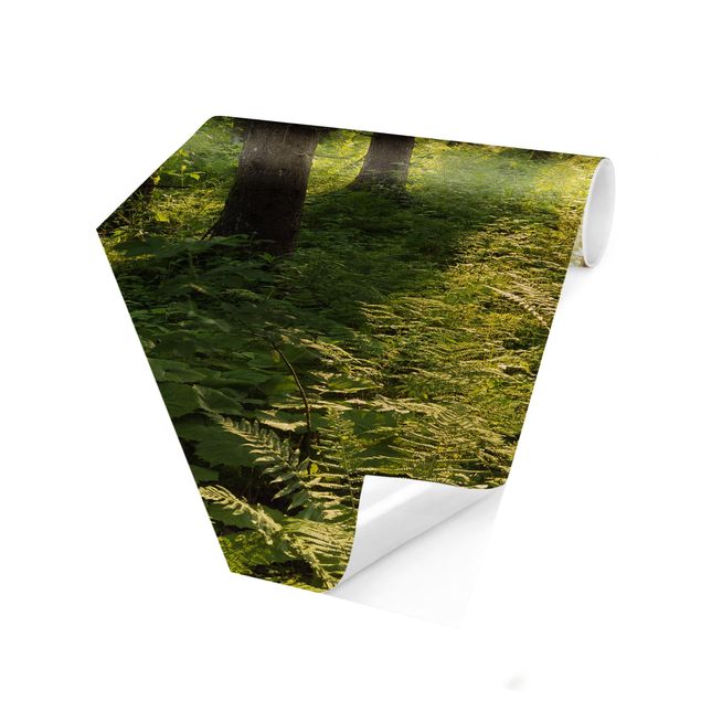 Wandtapete Design Sonnenstrahlen in grünem Wald