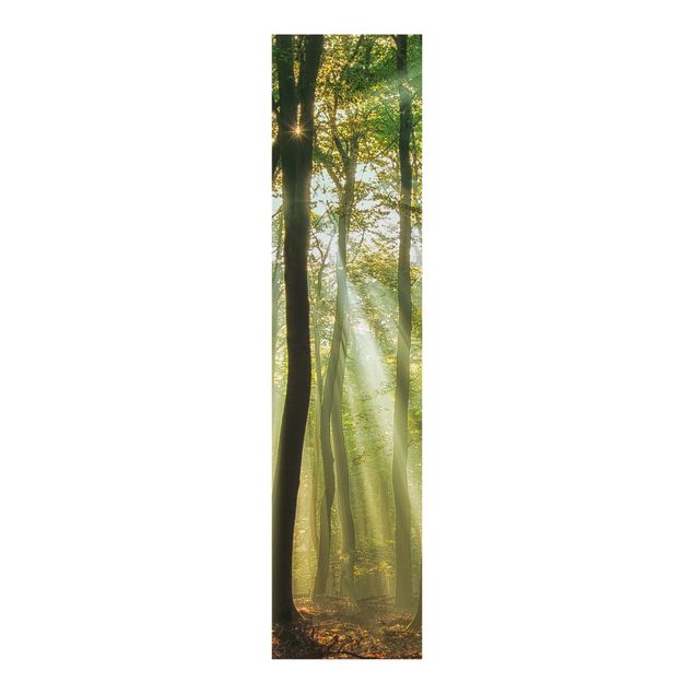 Schiebegardinen mit Motiv 3-teilig Sonnentag im Wald