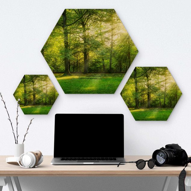 Hexagon Bild Holz - Spaziergang im Wald
