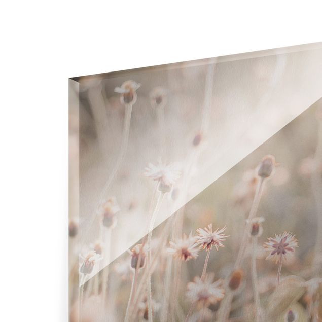 Glasbild - Strahlende Blumenwiese - Querformat