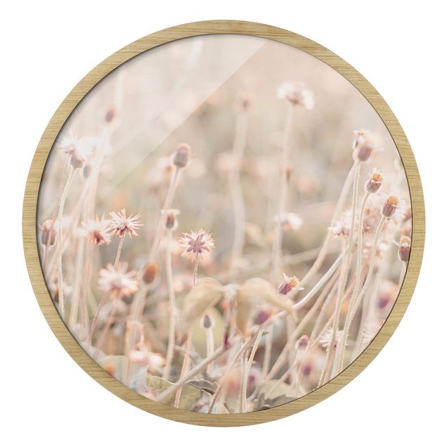 Bilder mit Rahmen Strahlende Blumenwiese