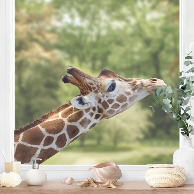 Fensterfolie Tiere suchende Giraffe