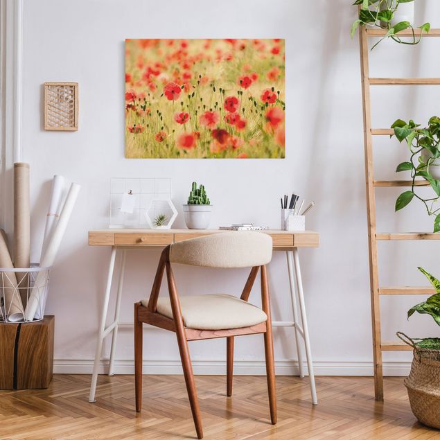 Wandbilder Wohnzimmer modern Summer Poppies