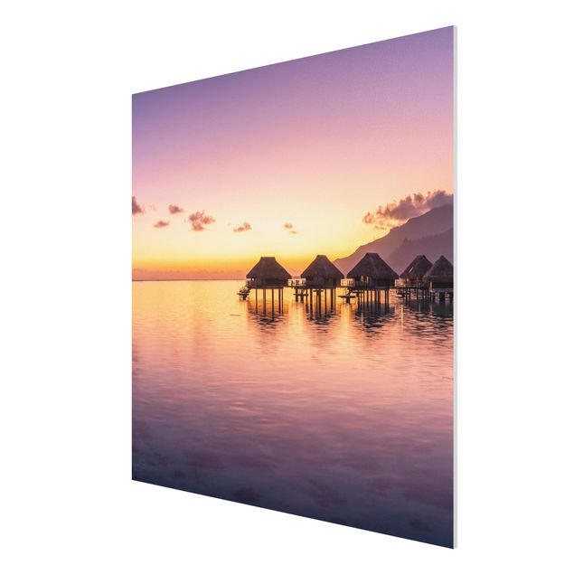 Forex Fine Art Print - Sunset Dream - Quadrat 1:1