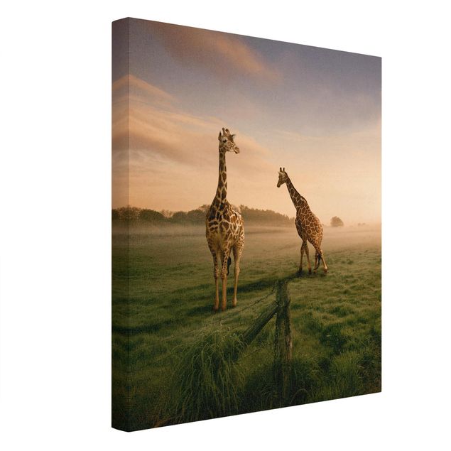 Leinwandbilder Wohnzimmer modern Surreal Giraffes