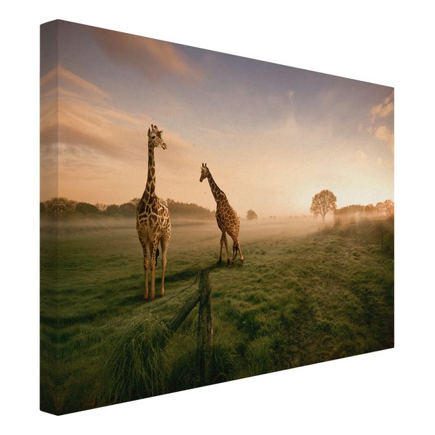 Leinwandbilder Wohnzimmer modern Surreal Giraffes