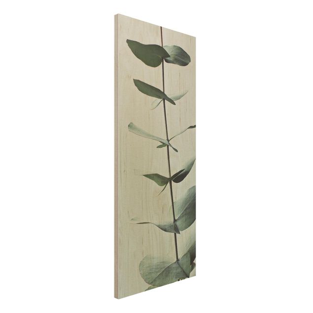 Holzbilder mit Blumen Symmetrischer Eukalyptuszweig