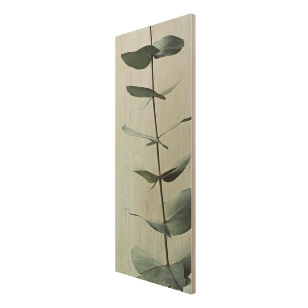 Wandbild Holz Symmetrischer Eukalyptuszweig