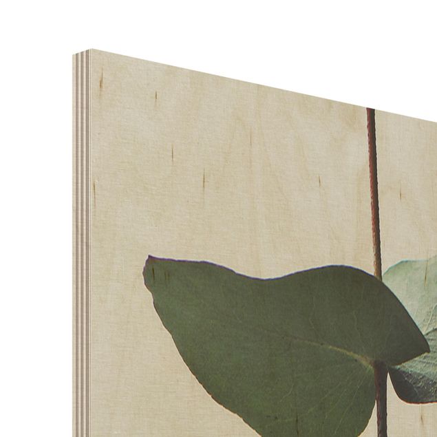 Holzbild - Symmetrischer Eukalyptuszweig - Hochformat
