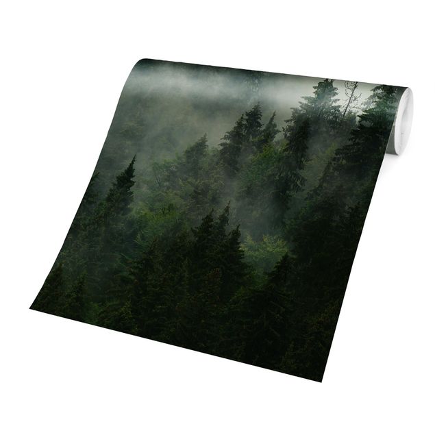 Grüne Tapete Tiefgrüner Tannenwald im Nebel