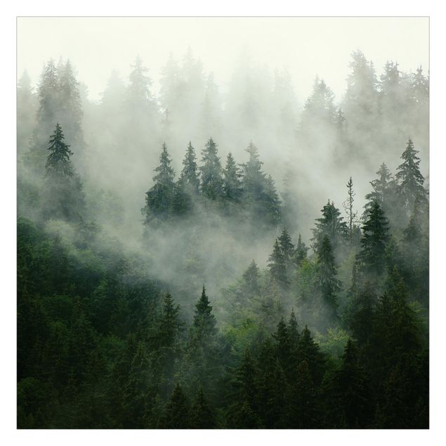 Fototapete Design Tiefgrüner Tannenwald im Nebel
